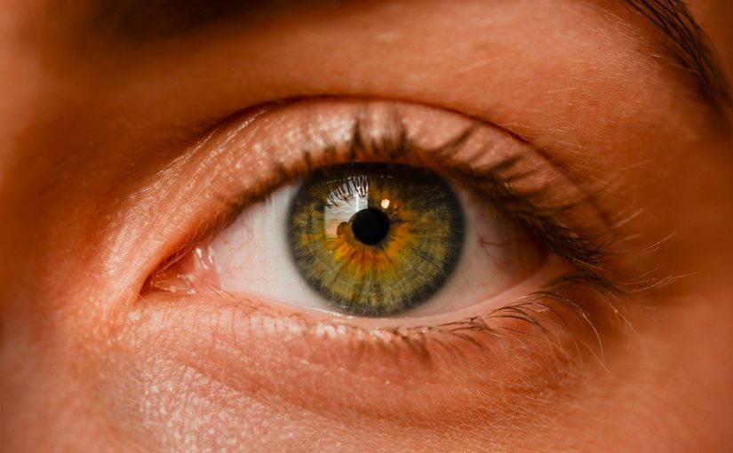 Oczy to wyrafinowany organ. To właśnie dzięki nim spostrzegamy.